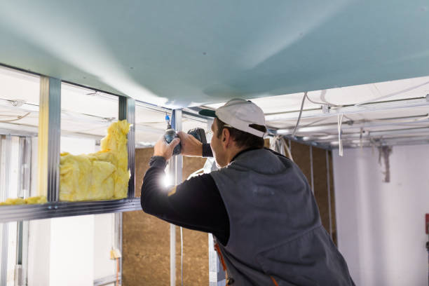 Best Insulation Maintenance and Repair in Plain City, OH