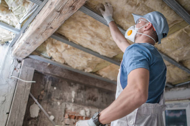 Best Residential Insulation in Plain City, OH